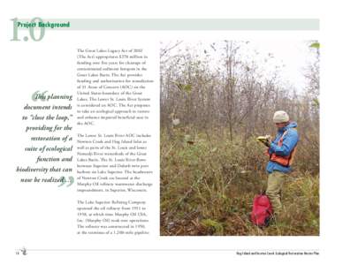 Hog Island and Newton Creek Ecological Restoration Master Plan - September 2007