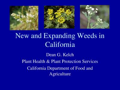 New and Expanding Weeds in California Dean G. Kelch Plant Health & Plant Protection Services California Department of Food and Agriculture