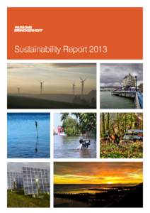 Sustainability Report[removed] Contents 3 Chief Executive’s Statement