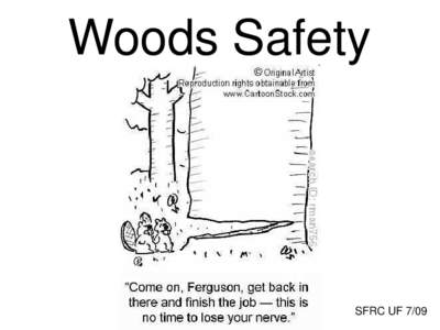 Woods Safety  SFRC UF 7/09 Working alone