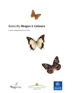 Butterfly Shapes & Colours A tool for studying butterflies and moths Introduction  Butterfly Shapes and Colours was created by Matthew Bulbert and David Britton.