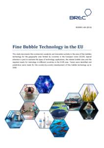R020001 v04Fine Bubble Technology in the EU This study documents the commercial, academic and innovation activity in the area of fine bubbles technology for the geographic area limited by countries in the Europe