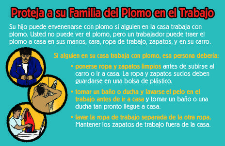 Proteja a su Familia del Plomo en el Trabajo Su hijo puede envenenarse con plomo si alguien en la casa trabaja con plomo. Usted no puede ver el plomo, pero un trabajador puede traer el plomo a casa en sus manos, cara, ro