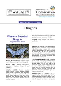 WASAH WESTERN AUSTRALIAN SOCIETY of AMATEUR HERPETOLOGISTS (Inc) KEEPING ADVICE SHEET  Dragons
