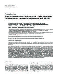 Renal Overexpression of Atrial Natriuretic Peptide and Hypoxia Inducible Factor-1
	
		
			

		
	
 as Adaptive Response to a High Salt Diet