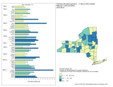 Mortality rate per 1,000 live births - Perinatal (28 weeks gestation -