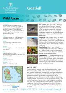 Goatfell Wild Arran Description The Arran skyline is dominated by the jagged summits and ridges of Goatfell and the surrounding hills, providing a dramatic