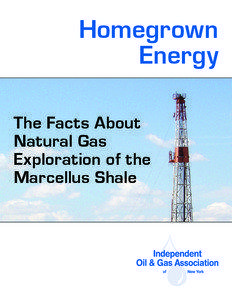 Homegrown Energy The Facts About