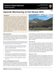 National Park Service U.S. Department of the Interior Sonoran Desert Network Monitoring Brief