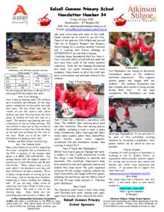 Balsall Common Primary School Newsletter Number 34 Friday 14 June 2013 Headteacher: GT Burgess MA Web Site: www.balsallcommonprimary.co.uk E-Mail: [removed]