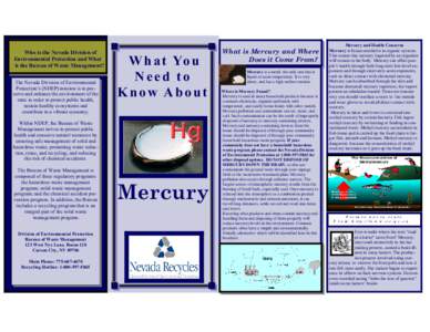 mercury brochure final2.pdf