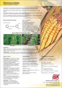 Botany / Digitaria / Abutilon theophrasti / Capsella bursa-pastoris / Capsella / Johnson grass / Setaria viridis / Eleusine indica / Agropyron / Invasive plant species / Commelinids / Poales