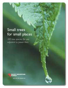 Small trees for small places 100 tree species for use adjacent to power lines  Table of contents