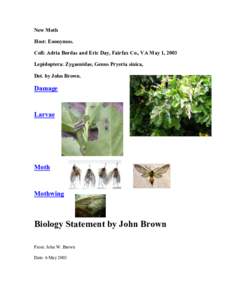 New Moth Host: Euonymus. Coll: Adria Bordas and Eric Day, Fairfax Co., VA May 1, 2003 Lepidoptera: Zygaenidae, Genus Pryeria sinica, Det. by John Brown.