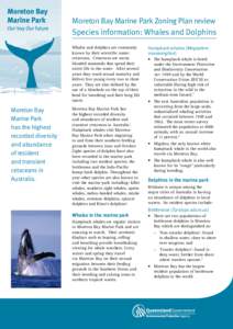 Moreton Bay Marine Park Zoning Plan review - FAQ
