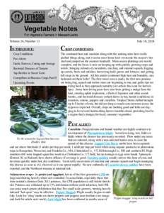 Staple foods / Microbiology / Biological pest control / Clavibacter michiganensis / Tomato / Glischrochilus / Phytophthora infestans / Maize / Blight / Food and drink / Biology / Agriculture