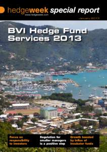 January[removed]BVI Hedge Fund Services[removed]Focus on