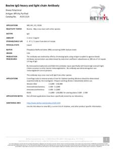 Bovine IgG-heavy and light chain Antibody Sheep Polyclonal Antigen Affinity Purified Catalog No. A10-115A