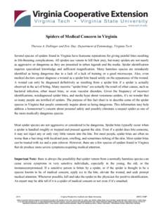 Spiders of Medical Concern in Virginia Theresa A. Dellinger and Eric Day, Department of Entomology, Virginia Tech Several species of spiders found in Virginia have fearsome reputations for giving painful bites resulting 