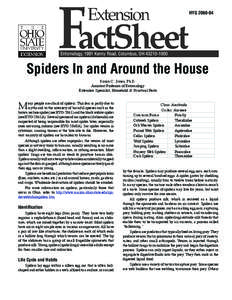 Venomous spiders / Arachnids / Spiders / Tegenaria / Spider / Wolf spider / Jumping spider / Parasteatoda tepidariorum / Argiope aurantia / Araneomorphae / Phyla / Protostome