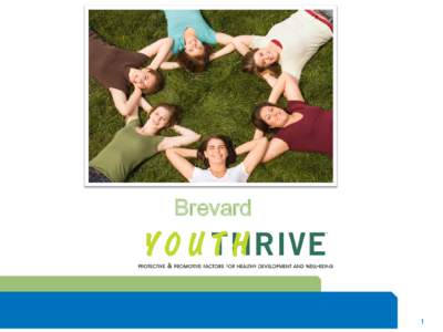 Brevard  1 History of Brevard Youth Thrive  Began in Oct[removed]with the establishment