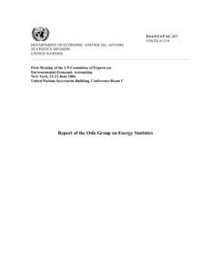 ESA/STAT/AC.117 UNCEEA/1/14 DEPARTMENT OF ECONOMIC AND SOCIAL AFFAIRS STATISTICS DIVISION UNITED NATIONS
