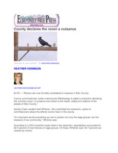 County declares the raven a nuisance  JANUARY 23, 2014 6:00 AM • BY HEATHER KENNISON HEATHER KENNISON