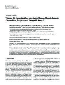 Vitamin B6-Dependent Enzymes in the Human Malaria Parasite Plasmodium falciparum: A Druggable Target?