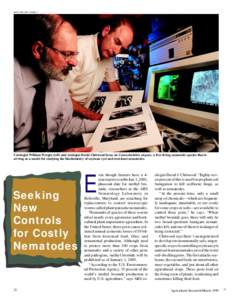 KEITH WELLER (K8382-1)  Cytologist William Wergin (left) and zoologist David Chitwood focus on Caenorhabditis elegans, a free-living nematode species that is serving as a model for studying the biochemistry of soybean cy