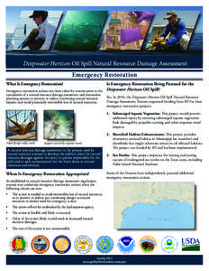 Deepwater Horizon Oil Spill Natural Resource Damage Assessment Emergency Restoration What Is Emergency Restoration?