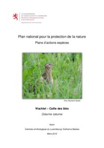 Plan national pour la protection de la nature Plans d’actions espèces Foto: Raymond Gloden  Wachtel – Caille des blés