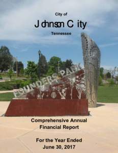 City of  Johnson City Tennessee  Comprehensive Annual