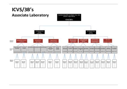 ICVS/3B’s	
  	
    Associate	
  Laboratory	
   President	
  /Scien>ﬁc	
  Coordinator:	
  Rui	
  L.	
  Reis	
   Director:	
  Jorge	
  Pedrosa	
  