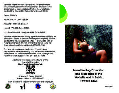 For more information on Hawaii state fair employment law prohibiting discrimination against an employee who breastfeeds or expresses breast milk in the workplace, contact the Hawaii Civil Rights Commission (HCRC): Oahu: 