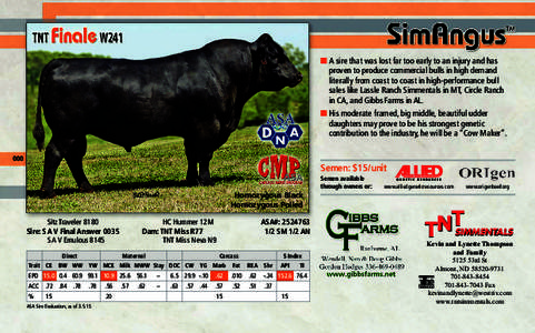 ■ A sire that was lost far too early to an injury and has proven to produce commercial bulls in high demand literally from coast to coast in high-performance bull sales like Lassle Ranch Simmentals in MT, Circle Ranch 