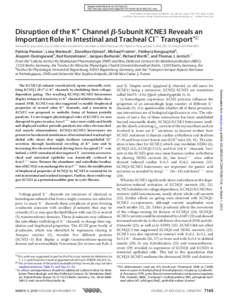 Supplemental Material can be found at: http://www.jbc.org/content/suppl[removed]M109[removed]DC1.html THE JOURNAL OF BIOLOGICAL CHEMISTRY VOL. 285, NO. 10, pp. 7165–7175, March 5, 2010 © 2010 by The American Society