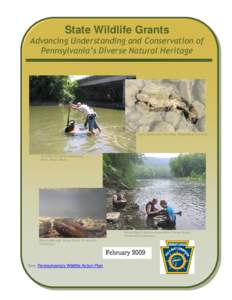 State Wildlife Grants  Advancing Understanding and Conservation of Pennsylvania’s Diverse Natural Heritage  Eastern Hellbender, Tim Maret, Shippensburg University