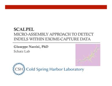 SCALPEL  MICRO-ASSEMBLY APPROACH TO DETECT INDELS WITHIN EXOME-CAPTURE DATA Giuseppe Narzisi, PhD Schatz Lab