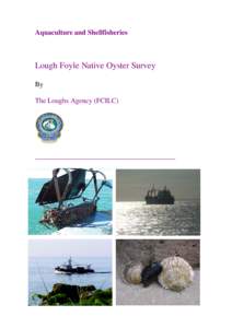 Lough Foyle Pre-Season Native Oyster Survey