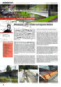 INGENIEUR-BAU  Spektrum 81 (Ausgabe MaiTössbrücke Schöntal, Zell