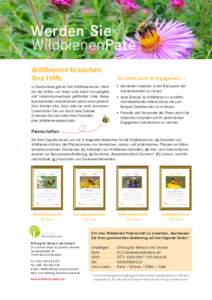 Bildautor: Corinna Hölzer  Werden Sie WildbienenPate Wildbienen brauchen Ihre Hilfe.