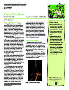 Peach Tree Borer Fact Sheet No.	[removed]Insect Series|Trees and Shrubs  by W.S. Cranshaw*