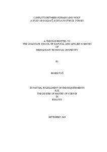 CONFLICTS BETWEEN HUMANS AND WOLF: A STUDY IN BOZDAĞ, KONYA PROVINCE, TURKEY