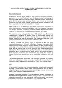 DOTHISTROMA NEEDLE BLIGHT: FOREST TREE NURSERY TRANSITION SCHEME (SCOTLAND) Scheme background Dothistroma Needle Blight (DNB) is now present throughout Scotland, particularly in the north and north east. It causes needle