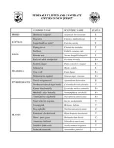 FEDERALLY LISTED AND CANDIDATE SPECIES IN NEW JERSEY FISHES REPTILES