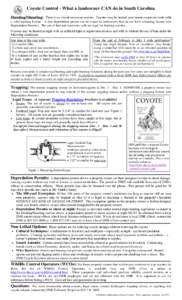 Coyote Control - What a landowner CAN do in South Carolina There is no closed season on coyotes. Coyotes may be hunted year ‘round on private lands with a valid hunting license. A free depredation permit can be issued 