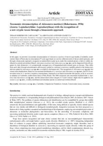 Taxonomic circumscription of Adenomera martinezi (Bokermann, [removed]Anura: Leptodactylidae: Leptodactylinae) with the recognition of a new cryptic taxon through a bioacoustic approach