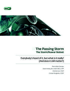:: The Passing Storm The Storm/Nuwar Botnet Everybody’s heard of it, but what is it really? (And does it still matter?) Pierre-Marc Bureau