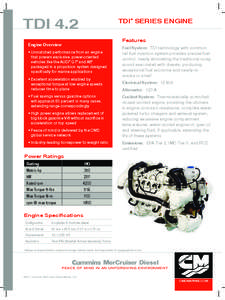 TDI 4.2  TDI Series Engine