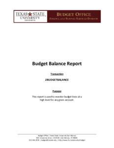 Budget Balance Report Transaction ZBUDGETBALANCE  Purpose